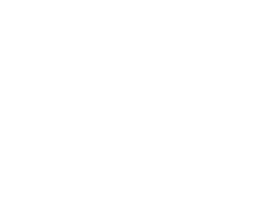 History has demonstrated time and again that, to the degree citizens are unarmed or disarmed, government suppression and tyranny are inevitable. The Founders of the United States knew these lessons well. This is why the U.S. Constitution not only acknowledges and guarantees the "right to keep and bear arms -- but the DUTY to be well-organized as state Militia reporting to their respective governors. But this duty, as well as the Militia, are often misunderstood. As a result, a "gun-control lobby" has been steadily eroding the original intent of the Founders by passing unconstitutional gun control "laws," funding a standing, global army, and destroying the 300-year old Militia system established by WE THE PEOPLE. MOLON LABE -- the sister film to MIDNIGHT RIDE -- was inspired by The Sword and Sovereignty by Edwin Vieira, Jr., available at Amazon. This feature documentary explores the "power of the sword" and how it guarantees American's freedom.
